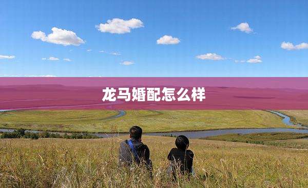 龙马婚配怎么样