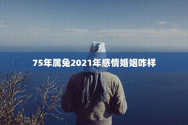 75年属兔2021年感情婚姻咋样
