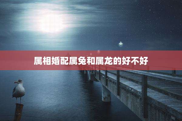 属相婚配属兔和属龙的好不好