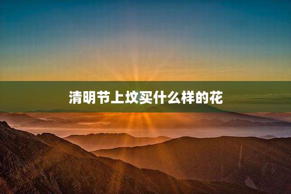 清明节上坟买什么样的花
