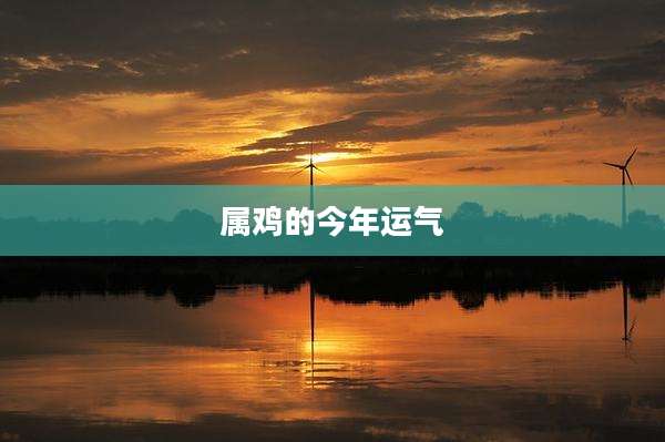 属鸡的今年运气