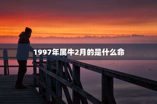 1997年属牛2月的是什么命