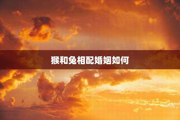 猴和兔相配婚姻如何