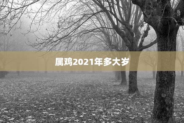 属鸡2021年多大岁