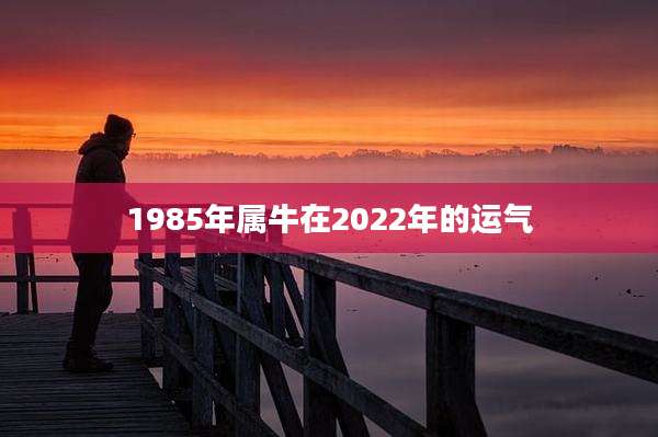 1985年属牛在2022年的运气
