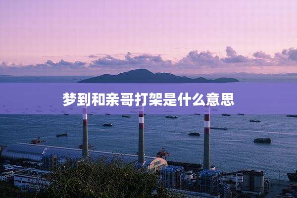 梦到和亲哥打架是什么意思