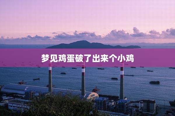 梦见鸡蛋破了出来个小鸡