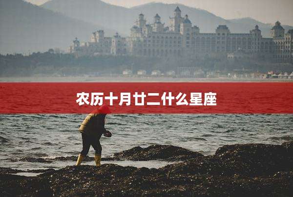 农历十月廿二什么星座