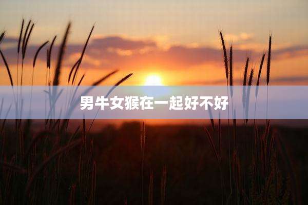 男牛女猴在一起好不好