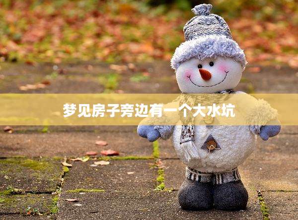 梦见房子旁边有一个大水坑
