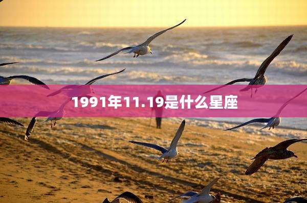 1991年11.19是什么星座