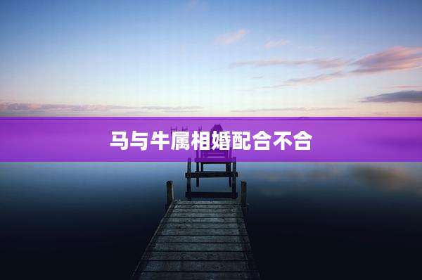 马与牛属相婚配合不合