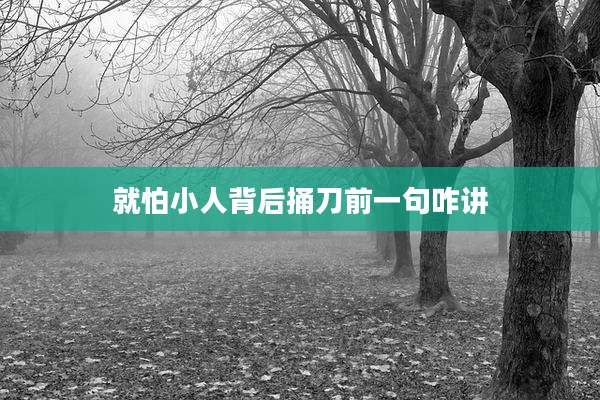 就怕小人背后捅刀前一句咋讲