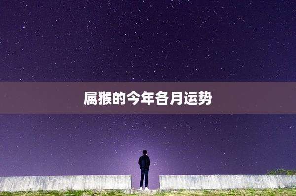 属猴的今年各月运势