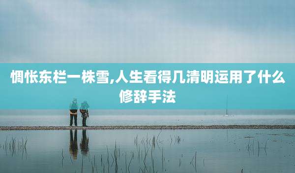 惆怅东栏一株雪,人生看得几清明运用了什么修辞手法