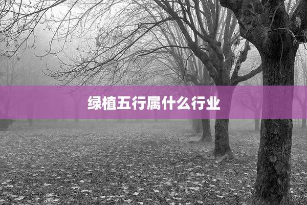 绿植五行属什么行业