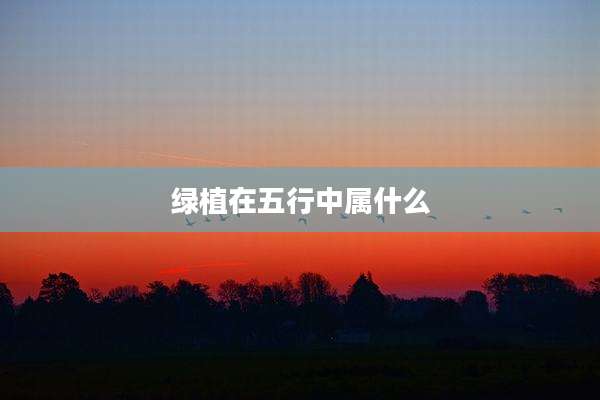 绿植在五行中属什么