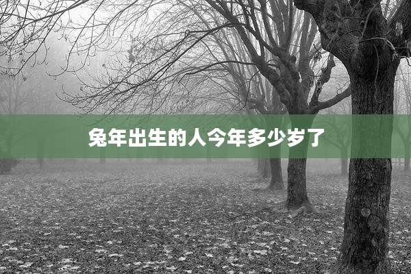 兔年出生的人今年多少岁了