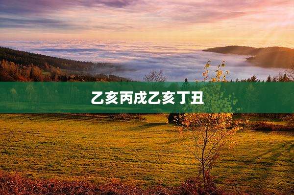 乙亥丙戌乙亥丁丑