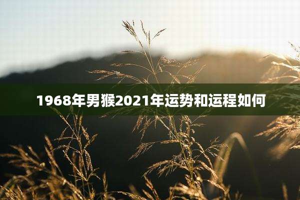 1968年男猴2021年运势和运程如何