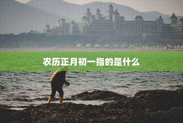 农历正月初一指的是什么
