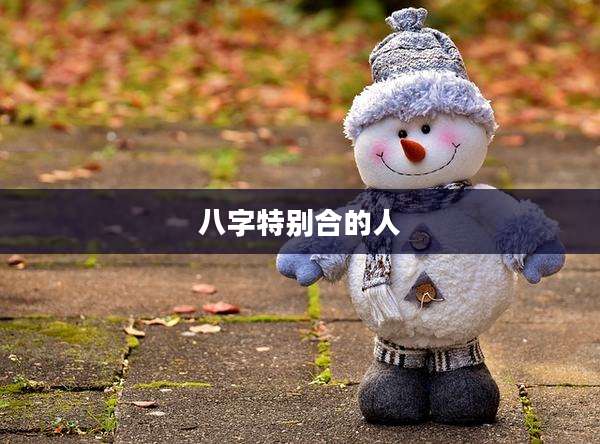 八字特别合的人