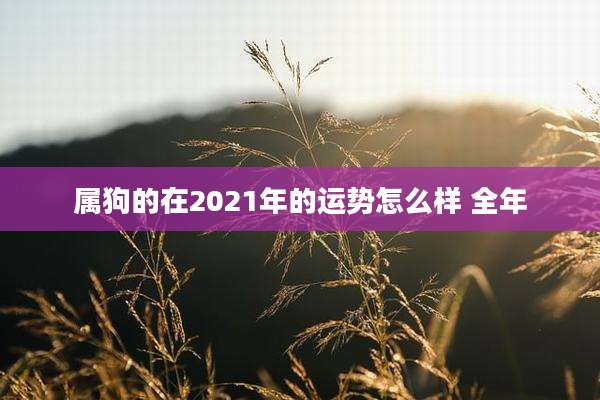 属狗的在2021年的运势怎么样 全年