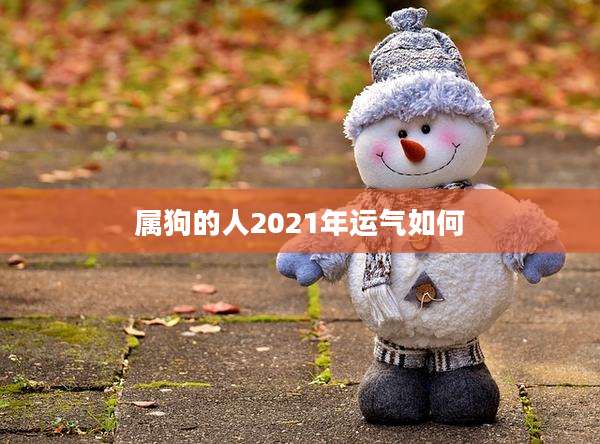 属狗的人2021年运气如何