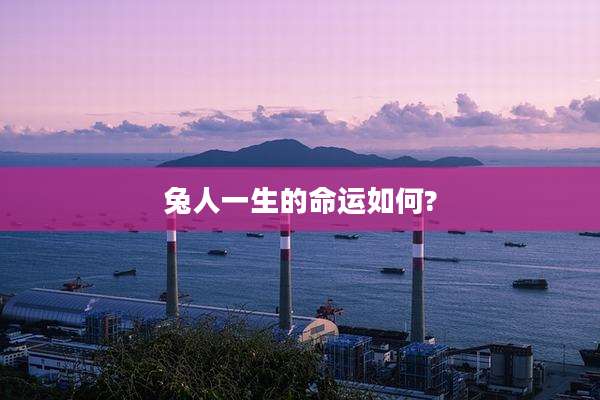 兔人一生的命运如何?