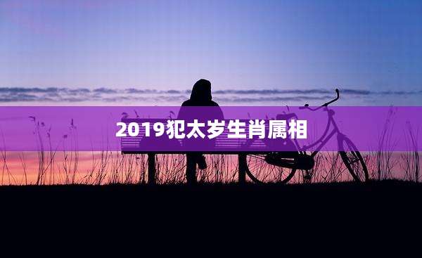 2019犯太岁生肖属相
