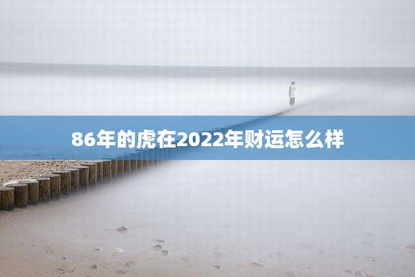 86年的虎在2022年财运怎么样