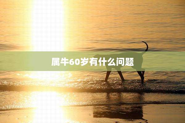 属牛60岁有什么问题