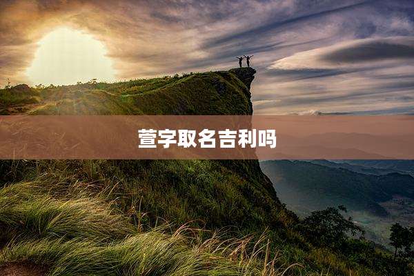 萱字取名吉利吗