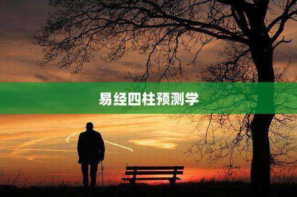易经四柱预测学