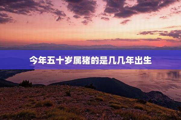 今年五十岁属猪的是几几年出生