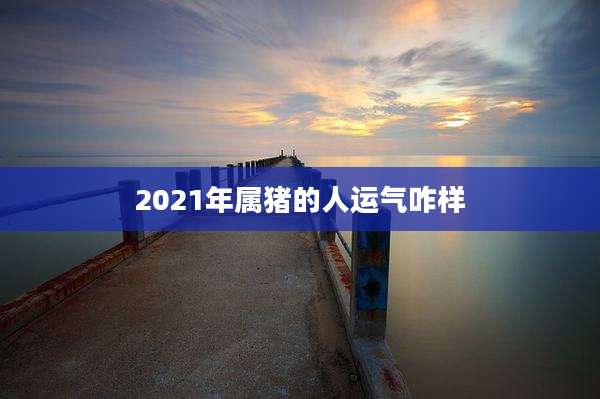 2021年属猪的人运气咋样
