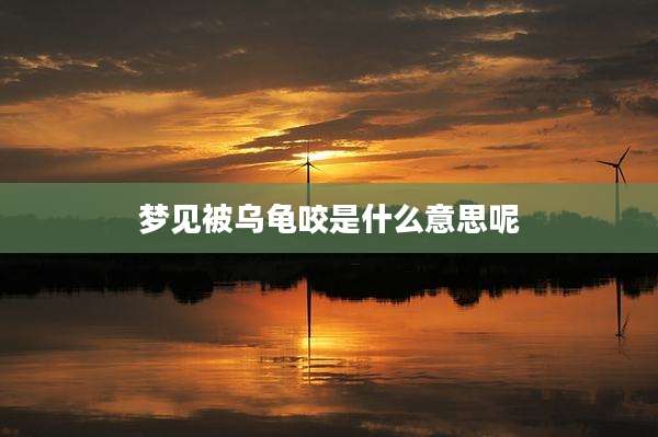 梦见被乌龟咬是什么意思呢
