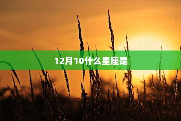 12月10什么星座是