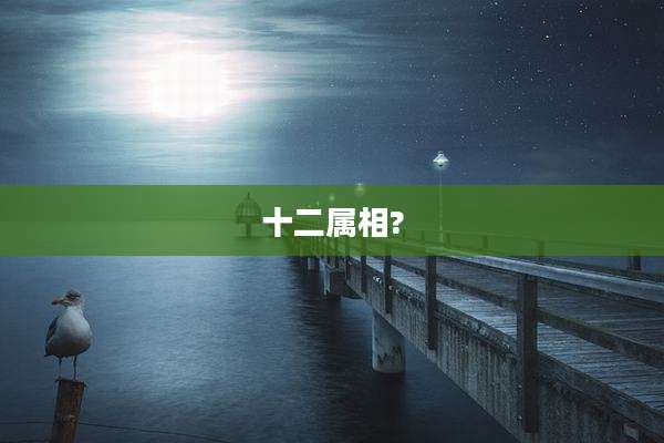 十二属相?