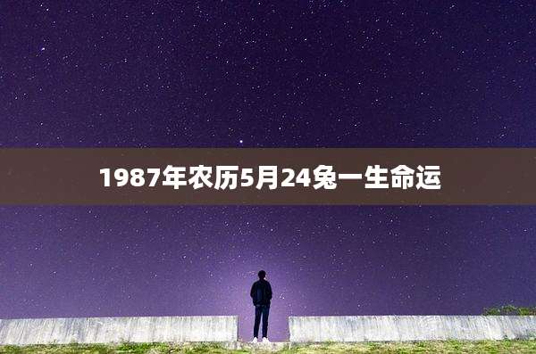 1987年农历5月24兔一生命运