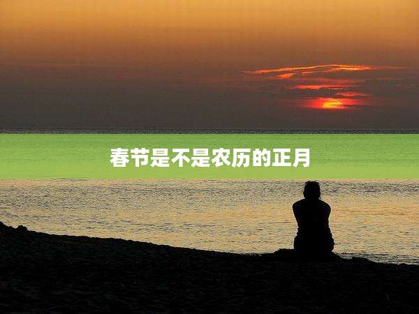 春节是不是农历的正月
