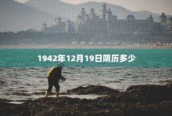 1942年12月19日阴历多少