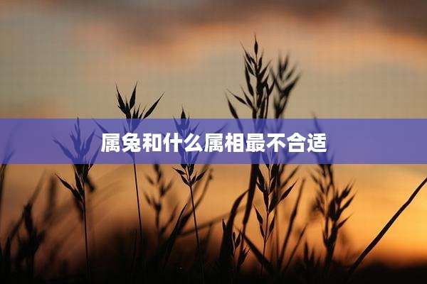 属兔和什么属相最不合适
