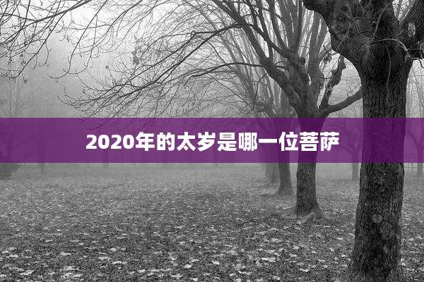2020年的太岁是哪一位菩萨