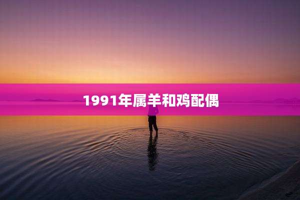 1991年属羊和鸡配偶