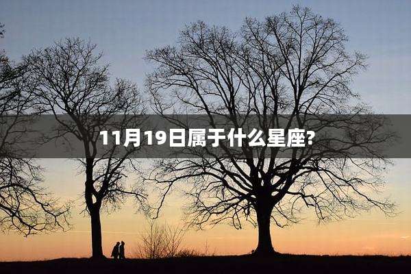 11月19日属于什么星座?