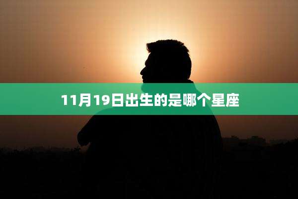 11月19日出生的是哪个星座