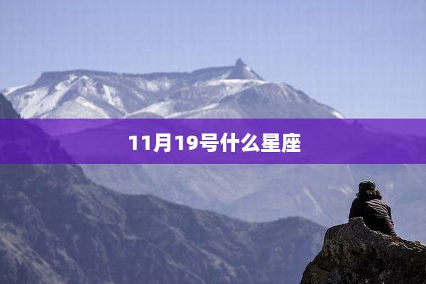 11月19号什么星座