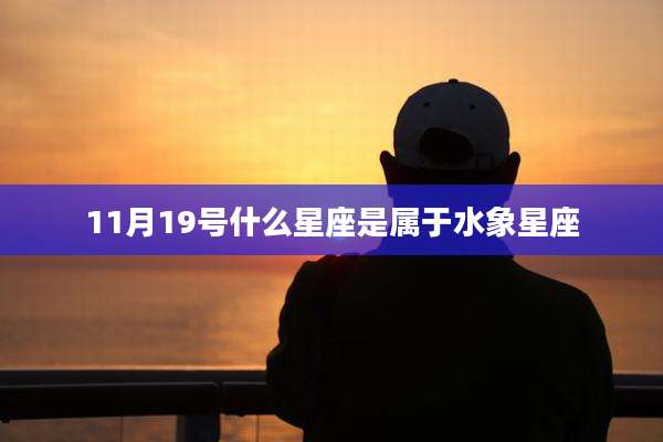 11月19号什么星座是属于水象星座