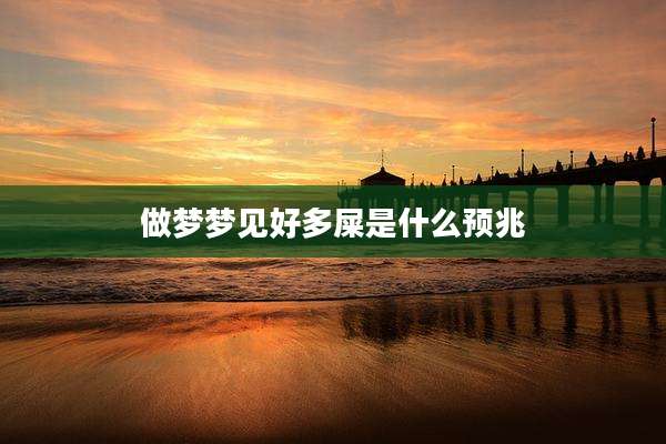 做梦梦见好多屎是什么预兆